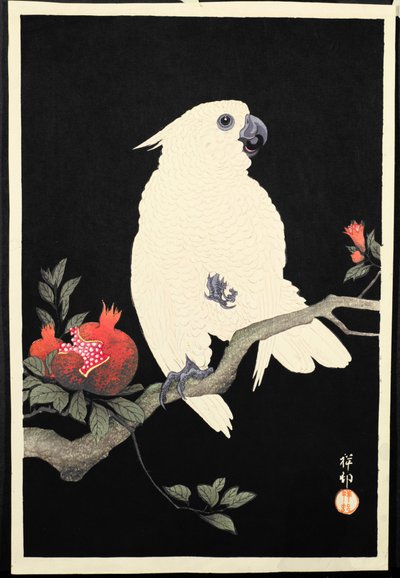 Cacatua e melograno da Ohara Koson